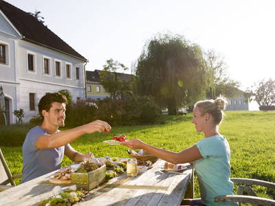 Bild 42 aus TESTHOF Oberösterreich