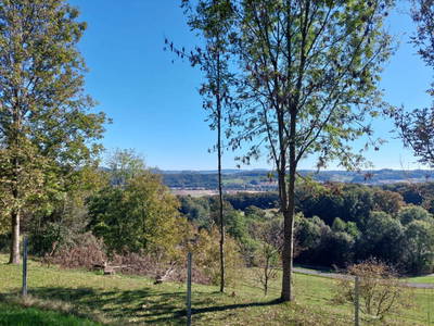 Bild 23 aus  Waldesruh