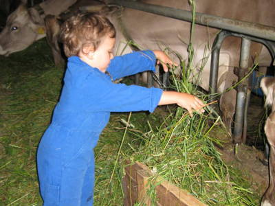 Bild 48 aus  Kinderbauernhof Leneler