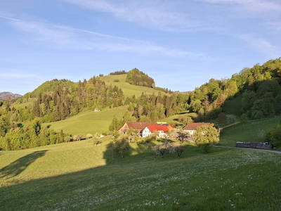 Bild 16 aus  Naglerhof