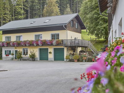 Bild 54 aus  Stückler - Hütte