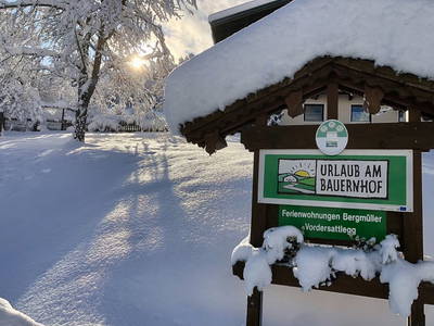 Bild 92 aus  Vordersattlegg