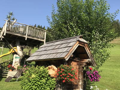 Bild 57 aus  Hinteregger