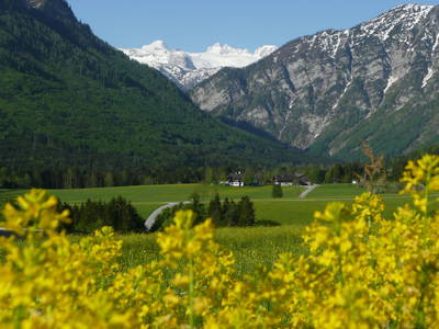 Bild 49 aus  Stanglhof