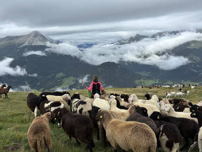 Bild 149 aus Riatschhof