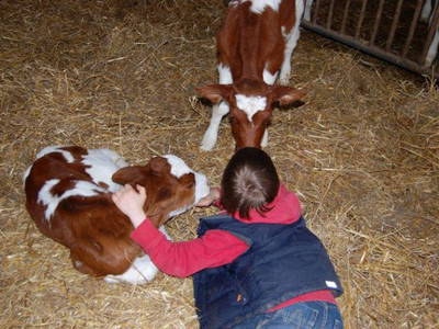 Bild 7 aus  Landgasthaus Hoffmann