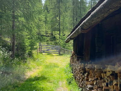 Bild 25 aus  Dreicharhütte