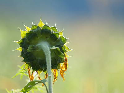 Bild 10 aus  Landhaus Essl