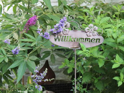 Bild 52 aus  Ferienhaus Weinmeyer 