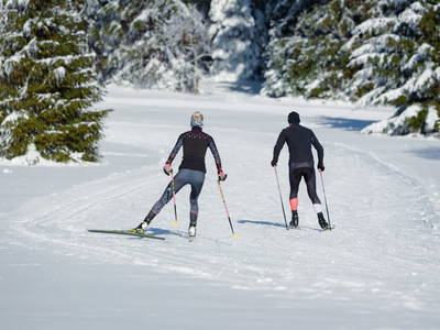 Bild 29 aus  Gut Pecketsberg