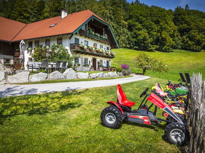 Bild 9 aus  Wohlfühlbauernhof Bambichlgut