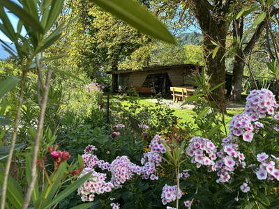 Bild 170 aus  Ferienhof Kirchbichl