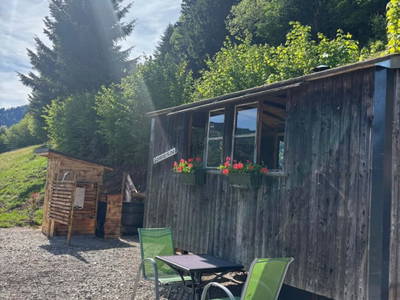 Bild 19 aus  Sommerkino - Schäferhütte