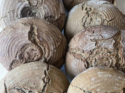 Bild 25 aus  Ferienhof Hinterstrasser Fam. Putz