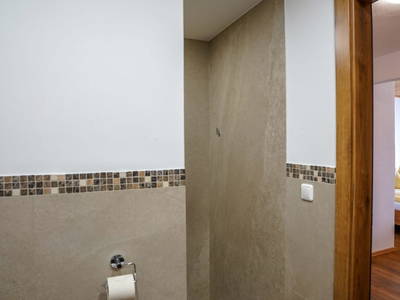 Bild 106 aus  Brettmaisserhof