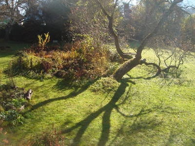 Bild 39 aus  Blumenhof Elfi