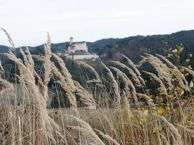 Bild 16 aus  Biohof Besenbäck