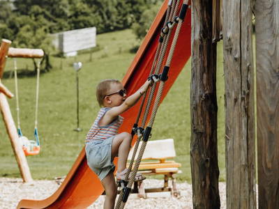 Bild 143 aus  Taxengut