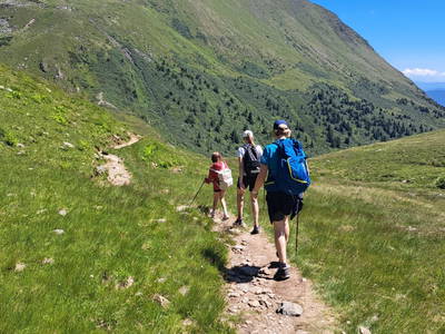 Bild 40 aus  Rotlechner