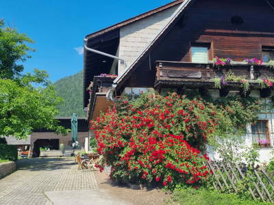 Bild 7 aus  Lackenbauer