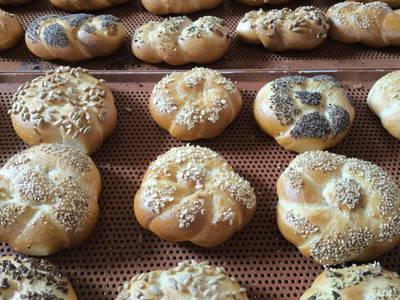 Bild 89 aus  Obergrafenberger