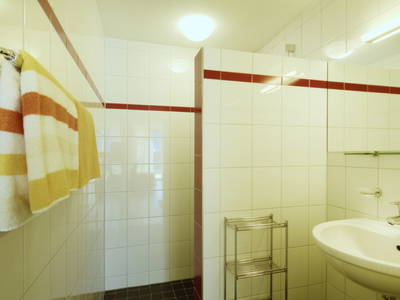 Bild 18 aus  Schweizer Hof