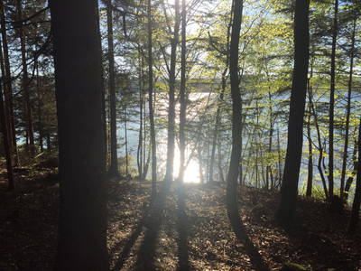 Bild 39 aus  Wastlbauer 