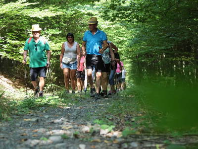 Bild 41 aus  Buchgrabenhof