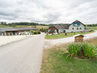 Bild 65 aus  Reiterhof Pfleger