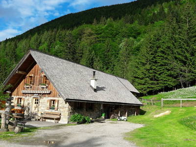 Bild 49 aus  Grögernalm