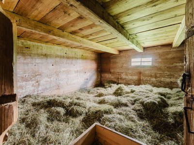 Bild 16 aus  Grainmeisterhof