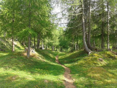 Bild 18 aus  Almerlebnisse Messner