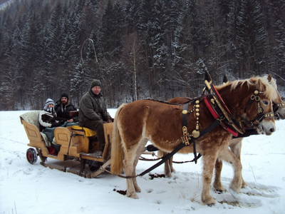 Bild 61 aus  Landhaus Gasteiner