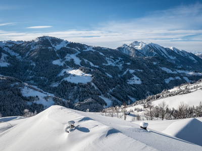 Bild 99 aus  Durchholzalm | Das Chalet am Floitensberg