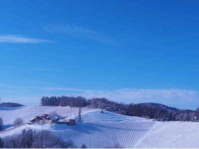 Bild 12 aus  Ferienhäuser Peter Skoff