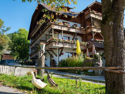 Bild 74 aus  Familienhotel-Gasthof Hinteregger