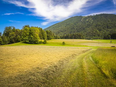 Bild 65 aus  Biohof Untergrabenbauer