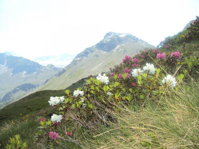 Bild 40 aus  Chalet Gretchenruhe