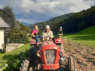 Bild 12 aus  Streiblhof