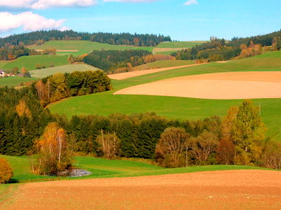 Bild 38 aus Biohof Schafflhof