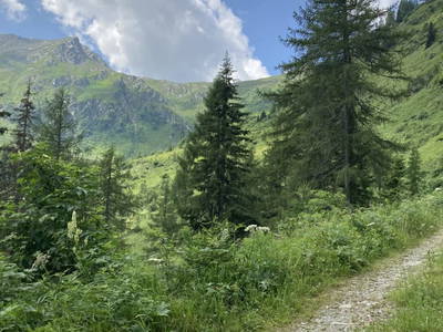 Bild 11 aus Neuhauserhof