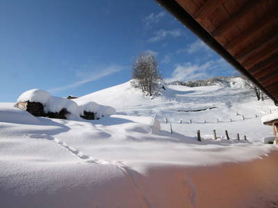 Bild 195 aus  Untererschbaum