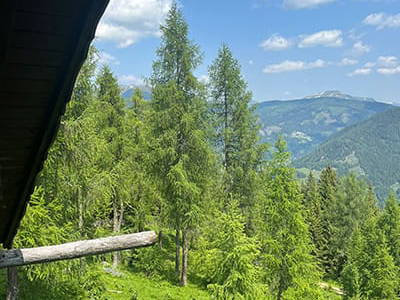 Bild 79 aus Neuwirth Hütte