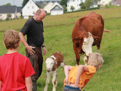 Bild 21 aus  Bauernhofpension Bals