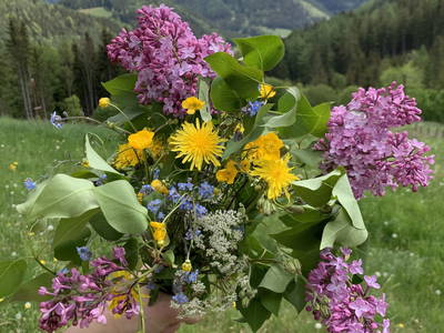 Bild 44 aus  Greithbauer Appartments