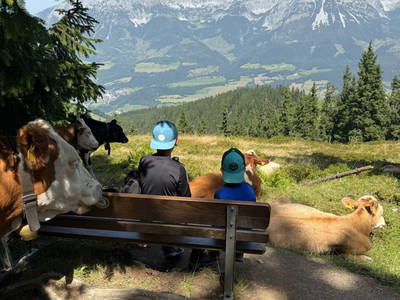 Bild 5 aus  Grillinghof