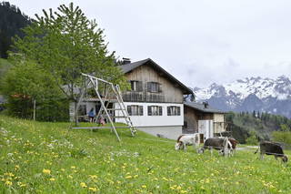 Berghof aus Ludesch