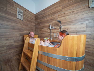 Bild 76 aus  Winzerhof Küssler, Weinviertel