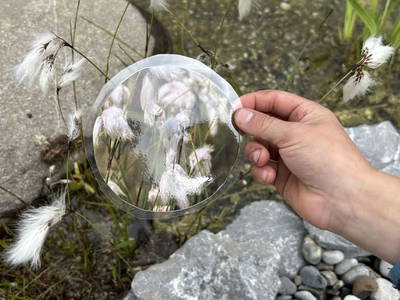 Bild 162 aus  Naturhof Innauer