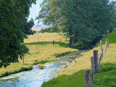 Bild 3 aus  Ferienhof Papiermühle